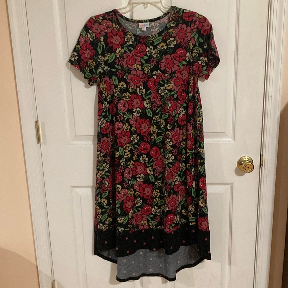 Floral LulaRoe Carly Dress